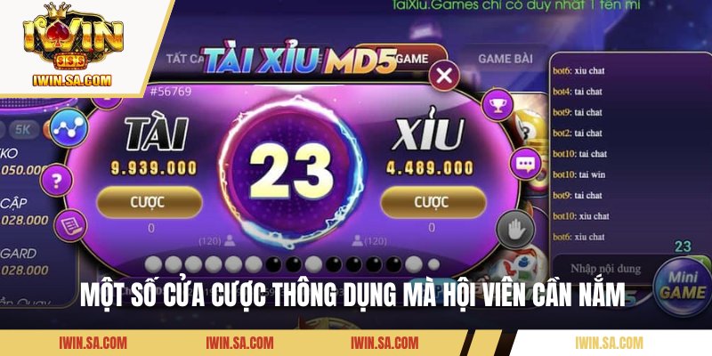 Tài Xỉu MD5 – Tựa Game Khuấy Đảo IWIN Năm 2025 3 Một số cửa cược thông dụng mà hội viên cần nắm