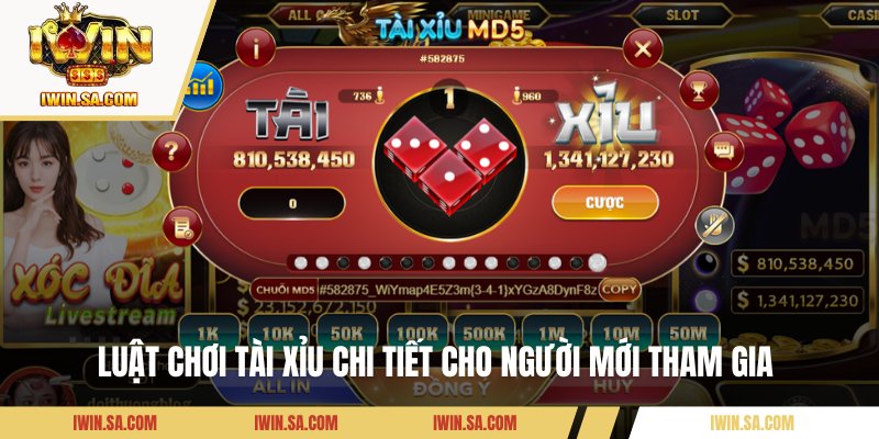 Tài Xỉu MD5 – Tựa Game Khuấy Đảo IWIN Năm 2025 2 Luật chơi tài xỉu chi tiết cho người mới tham gia
